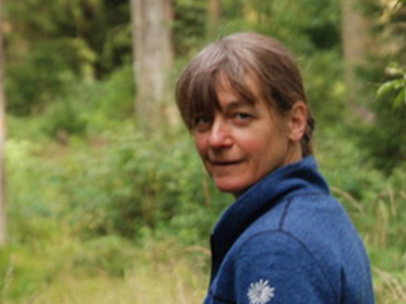 b062f8ce5de108879d26bd5a1b0c88c0